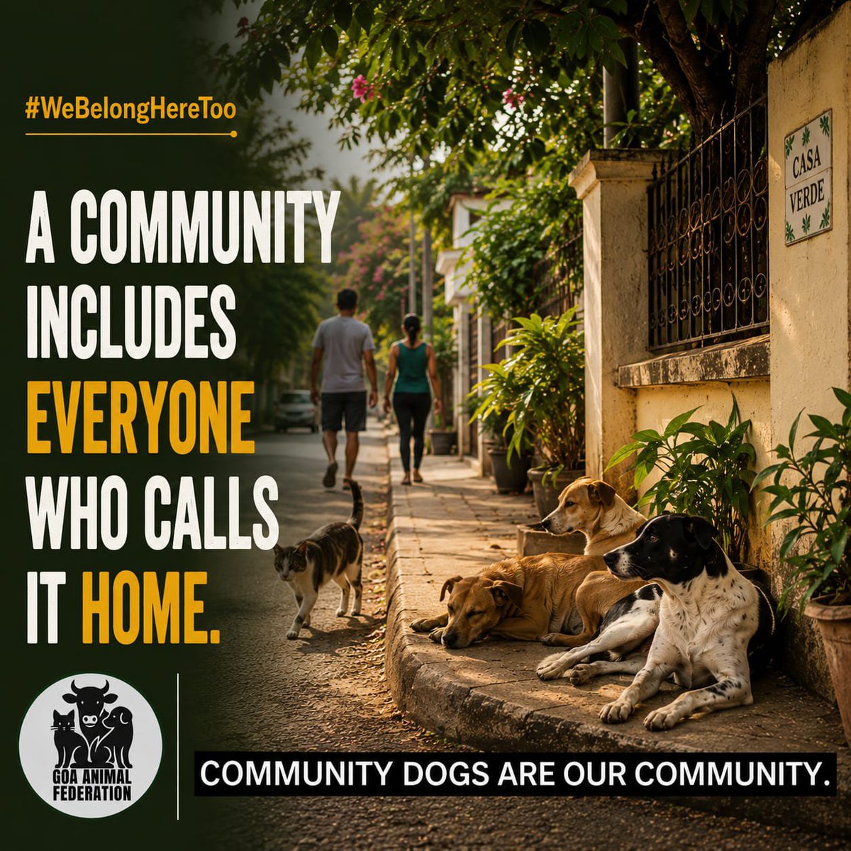 GoaAnimalfedn's tweet photo. #CommunityDogs #OurCommunity #TheyBelongHereToo #Coexistence #GoaAnimalFederation https://t.co/oudAm4Lh5p