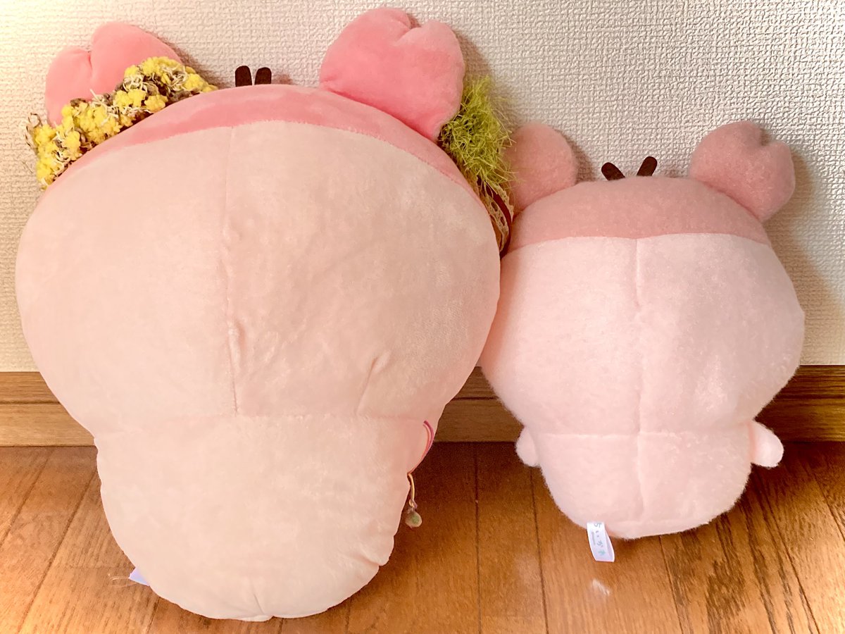 ayg7293's tweet photo. 今さらだけどカニちゃんってしっぽないの？カニだから？？😅 https://t.co/ENGg5MVdYt