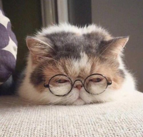 Manshe2924's tweet photo. 🌞 👑 Sipped on kombucha fizzy scobies sparking sour. https://t.co/30erPVfaru
