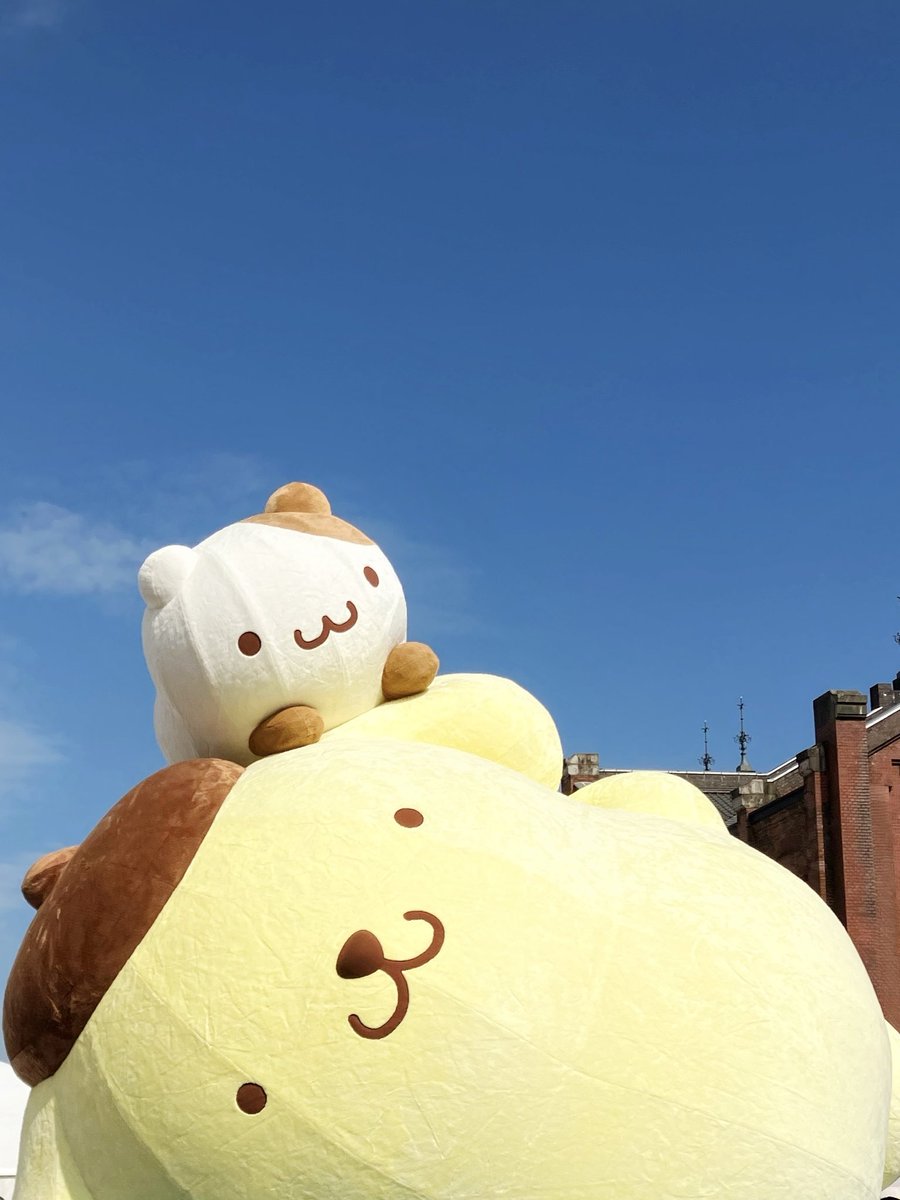 kuma09pom's tweet photo. 行ってきた🍮🎸🎵

めっちゃ混んでたけど楽しめた〜
ポムポムした空間で幸せだった🐶

#ポムフェス #ポムポムプリン https://t.co/lb3GbJhJn3