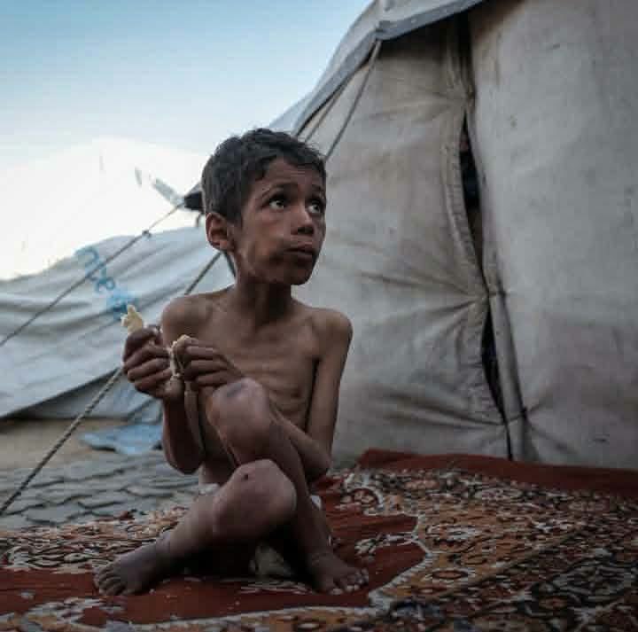 mhdksafa's tweet photo. Open the gates. Let aid into Gaza now!

UN: Two-thirds of Gaza face food insecurity, and essential supplies are
Running low as the Strip moves into rainy and winter season.

We know what’s coming, but we still have time to prevent it. Open the gates! https://t.co/sLRCj60gSz
