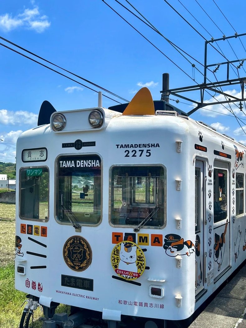 hi60824's tweet photo. 青空と猫電車、最高。 https://t.co/inPxebS6ZX