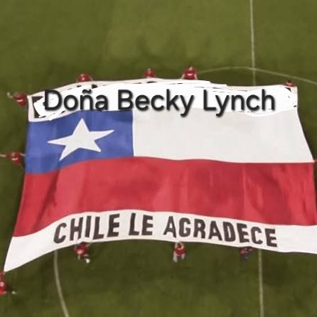 JavierSapbe69's tweet photo. DOÑA BECKY LYNCH

CHILE LE AGRADECE https://t.co/UIoTbxhuT1