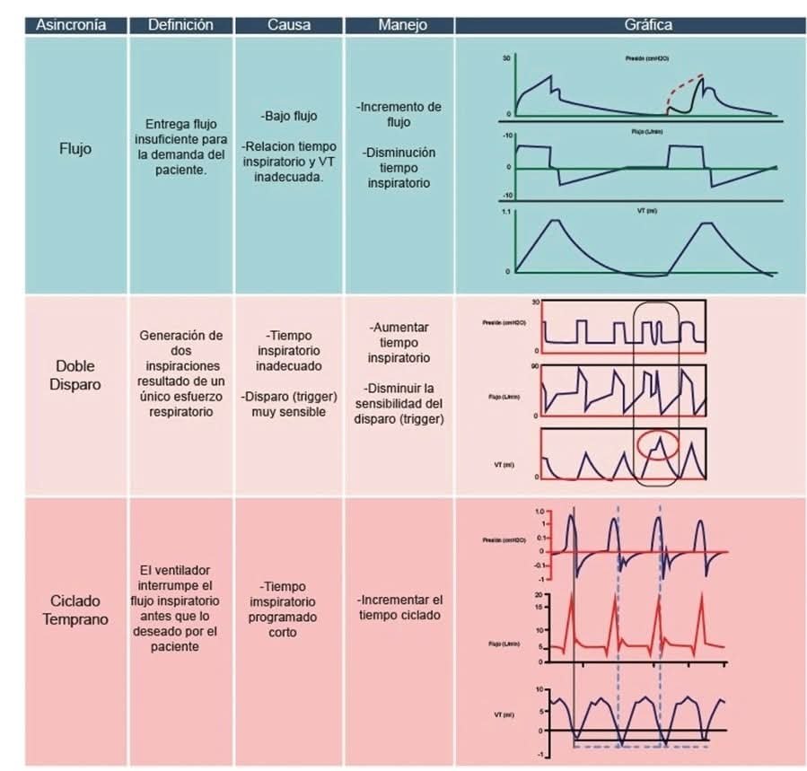 LeslieMegom's tweet photo. 📉📈📉📈Asincronías  paciente-ventilador🌀5️⃣ pasos 🐾para el manejo de las asincronías.🔵🔴🟡
➡️Notas cafeteras ☕️
🌀🌀Los quimiorreceptores a nivel central y periférico registran cambios en la presión arterial de CO2 (PaCO2) y el pH. La PaCO2se mantiene en un estado de equilibrio determinado por la intersección entre la hipérbola metabólica (que describe la PaCO2en función del volumen minuto, la curva de respuesta a la ventilación (que describe el VE en función de la PaCO2).➡️ En situaciones de hipercapnia, la respuesta esperada es un aumento lineal en la ventilación. Sin embargo, en personas sanas, se observa una alta variabilidad en el VE por unidad de incremento de la PaCO2(2-3 y 0,6-8 l/min/mmHg)
➡️ Las variaciones de PaO2, y en especial su disminución, producen una retroalimentación química, los principales quimiorreceptores en respuesta a la hipoxemia están localizados en cuerpos carotídeos. ➡️Cuando se presenta un estado de hipoxemia la respuesta de los centros de control respiratorio incrementa la frecuencia respiratoria y el VE. En casos de hipocapnia, la respuesta depende del grado de alerta o sedación del paciente. En individuos alerta y con hipocapnia, la pendiente se vuelve casi horizontal, dando lugar a una ventilación mínima, fenómeno conocido como «impulso al respirar en vigilia» (influenciado por PaO2 y pH)⚠️Si el paciente está bajo medicamentos sedantes, la pendiente permanece lineal, resultando en una hipocapnia progresiva que puede llevar a la apnea. Este límite se denomina «límite de apnea» y varía entre individuos, pudiendo ser modulado por el estado ácido-base y la PaO2. ⚠️Es crucial destacar que la PaO2 tiene un efecto modulador débil sobre el drive respiratorio en comparación con los niveles de PaCO
🌀Los factores que influyen en el drive respiratorio son variados y pueden tener un impacto significativo en la ventilación.
🌀Alteraciones en este control pueden llevar a un alto o bajo "drive" respiratorio.
📈- Un alto drive se asocia con un esfuerzo respiratorio elevado.
📉Bajo drive puede resultar en apneas.
➡️La tasa metabólica ☕️y la retroalimentación química son determinantes clave.🗝
-➡️Cambios en la presión arterial de CO2 (PaCO2) y el pH afectan la respuesta del centro respiratorio.📈
-🧠La corteza cerebral también juega un papel importante en la modulación del patrón respiratorio.🫁
5️⃣🐾  pasos para evaluar y manejar las asincronías.
☢️- Las asincronías pueden clasificarse en bajo y alto esfuerzo inspiratorio, cada una con sus características y estrategias de corrección.
1️⃣- La monitorización de la presión esofágica y de las vías aéreas es útil, aunque su uso práctico 
2️⃣- Para esfuerzos inefectivos, se sugiere ajustar la sensibilidad del disparo y reducir la sedación.
3️⃣- En el caso de ciclado tardío, se recomienda acortar el tiempo inspiratorio.
4️⃣- Las asincronías de alto drive requieren ajustes en el flujo y volumen corriente del ventilador.
5️⃣- La identificación y corrección oportuna de estas asincronías son cruciales para prevenir lesiones pulmonares inducidas por el ventilador.
〽️✅️La implementación de modos ventilatorios avanzados mejora la sincronía y reduce la disfunción diafragmática en pacientes críticos.
✅️- La ventilación proporcional asistida (PAV+) ajusta la presión según el esfuerzo inspiratorio del paciente, disminuyendo el trabajo respiratorio.
✅️- PAV+ reduce las asincronías en comparación con la presión soporte, permitiendo una mayor proporción de volumen corriente adaptada a las condiciones pulmonares.
✅️- Pacientes en PAV+ tienen una mayor tasa de liberación del soporte ventilatorio invasivo y menos asincronías de ciclado y espiratorias.
🫟Ventilación Asistida Ajustada Neuronal (NAVA)
🫟La NAVA utiliza la actividad eléctrica del diafragma para sincronizar el ciclo respiratorio del ventilador con el esfuerzo del paciente.
🌀🫁- Este modo reduce las asincronías de disparo en hasta un 50% en comparación con la presión soporte.👇🏽