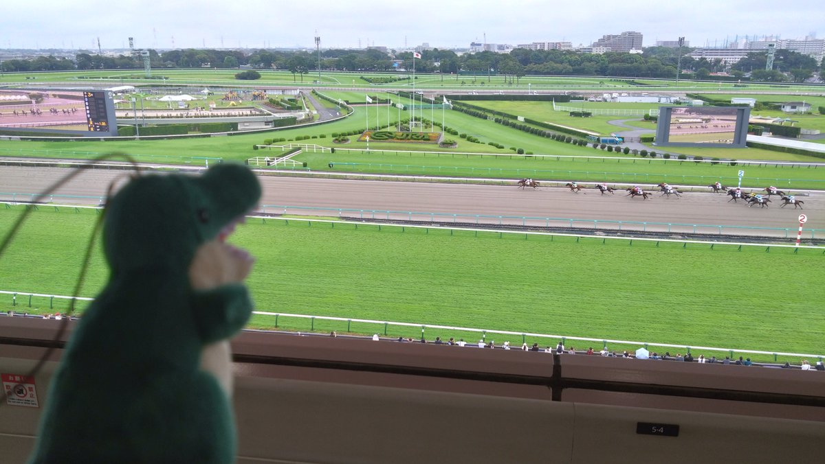 manmaruko15's tweet photo. 中山競馬場に来たよ🏇
#JRA #中山競馬場 #競馬 #ぬいぐるみ #ぬい撮り https://t.co/pPPSm3VvKb