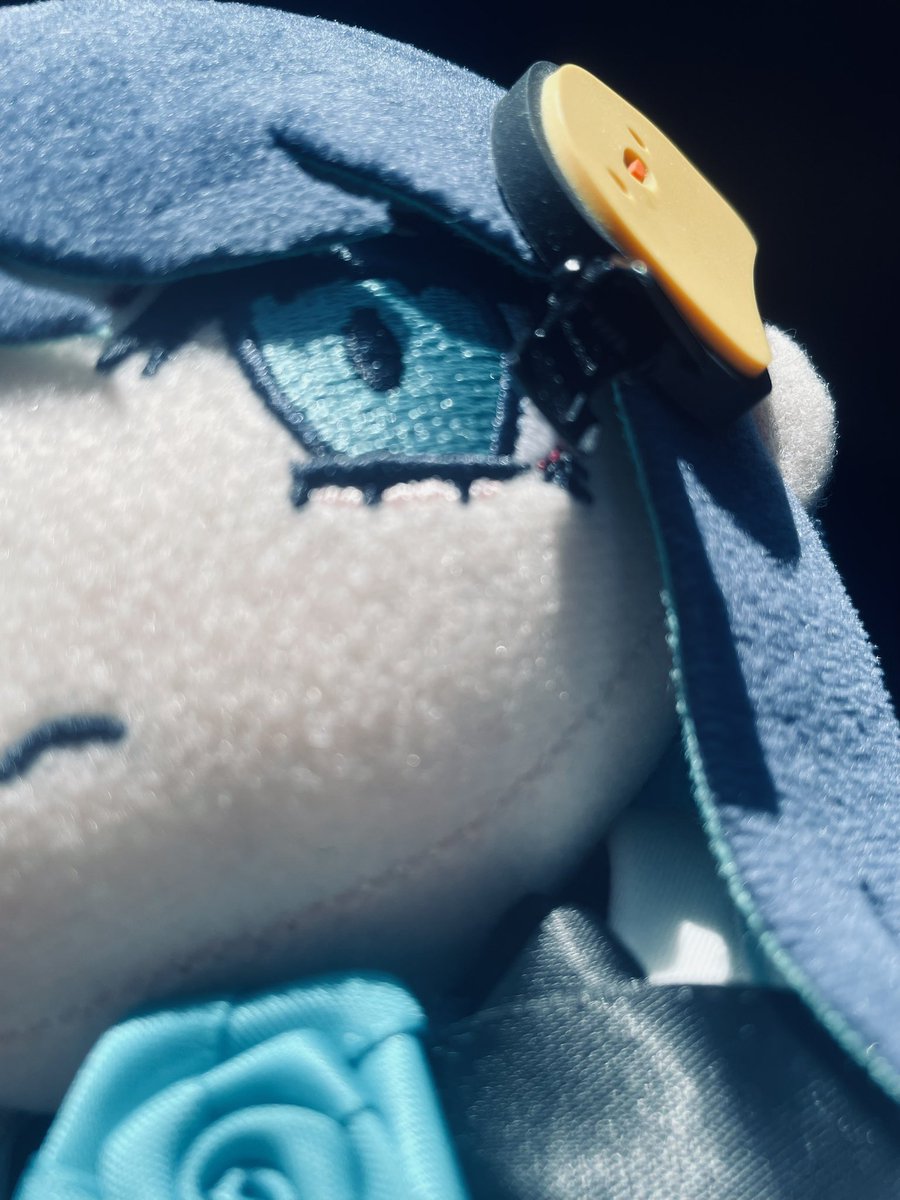 _blue_158's tweet photo. 可愛いですね、、 https://t.co/0DhLRNI7Fm