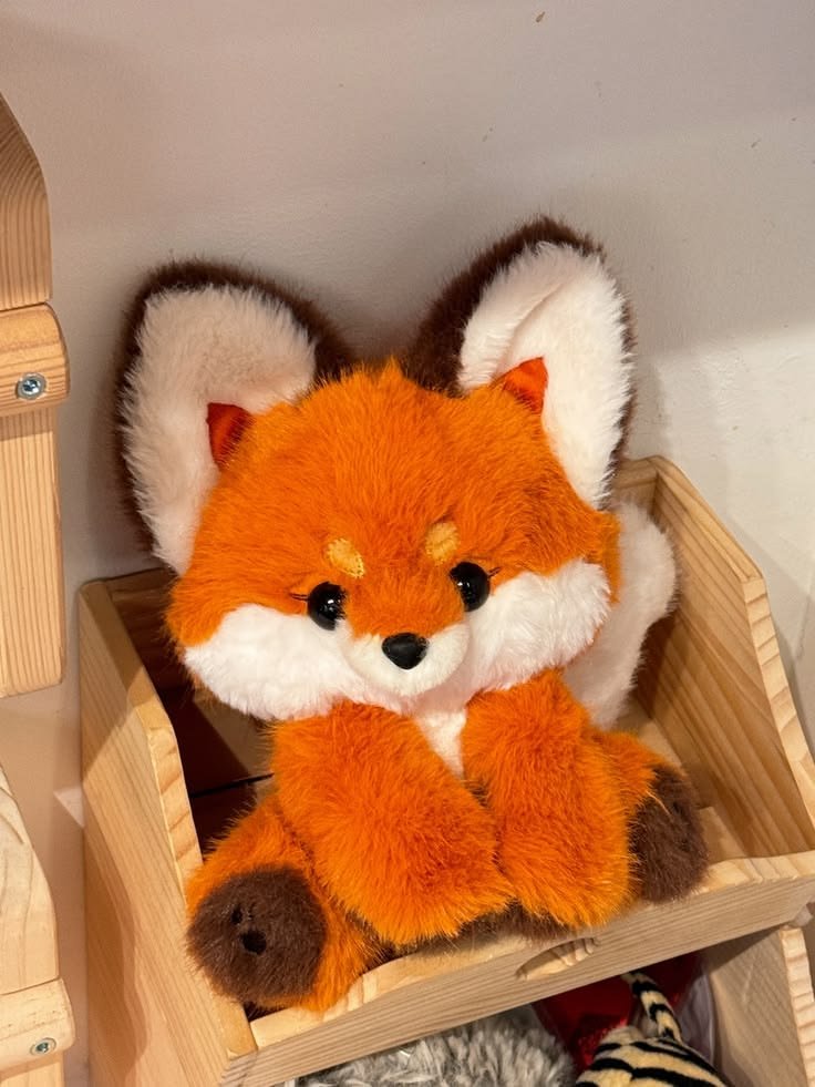 TheFoxLife's tweet photo. https://t.co/PEcrhpaRU1