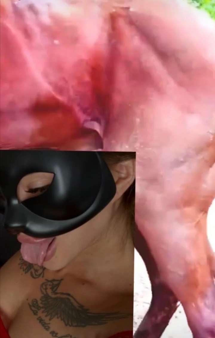 Horsegirlkinky's tweet photo. Been mysteriously missing in love with🍆🐴🐶 🥵follow channel link 🔗 

https://t.co/uPcJJrgYLh

Livestream commence soon 🎃👸

My telegram link 🔗 https://t.co/WQaSwCSSLb https://t.co/aeBJZJ748B