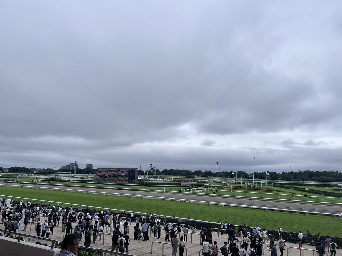 maako_428's tweet photo. エレンが日曜のお昼に走る馬たちを見てるみたいなので今日はアルミンちゃ連れてきたよ🐎 https://t.co/SXpmUo9hmJ