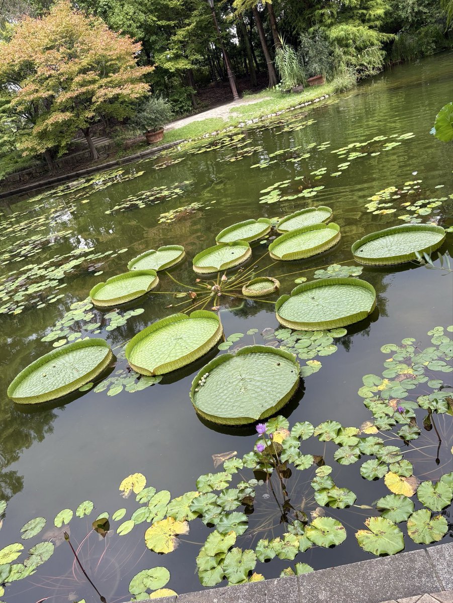 colorer171's tweet photo. ごっつぁんです 🤗

名古屋久屋大通庭園フラリエ🤳
都会の真ん中にある景色
たまに行くと癒されます🤭

休日出勤捌き 半日お休み😅
リアルを元気に♡︎ʾʾ
ニコッとシェア✨🤝
お腹すいたぁ〜  笑¨̮ https://t.co/hblEPX6xse