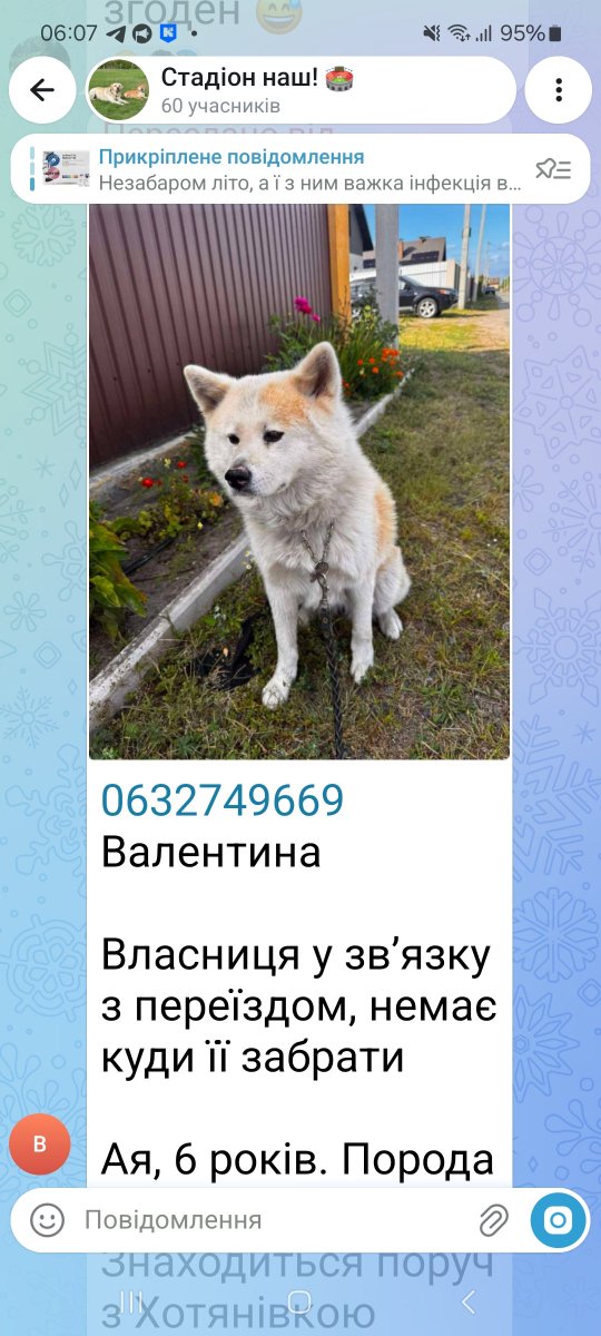 doki733's tweet photo. @tpetryuk @MironovaNatal17 Доброго дня! https://t.co/p2psQf5Bus