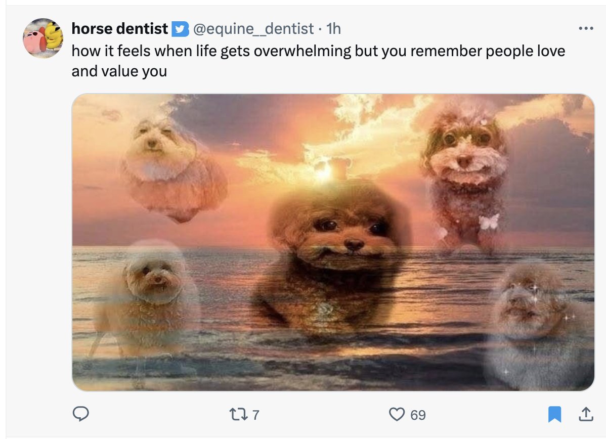 40yroldstartup's tweet photo. @equine__dentist hell yeah https://t.co/Oyte0kVnPt