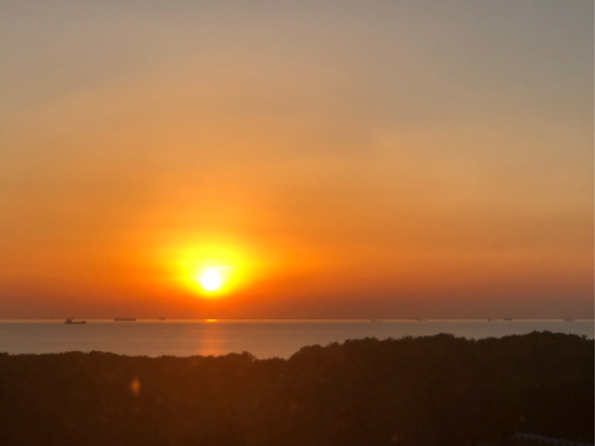 mortq167614's tweet photo. Spent the morning chasing sun rays at the coastal cliff trail—fresh sea breeze, seagull calls, and that perfect golden hour glow to end the day. Truly a little slice of paradise. https://t.co/15duhMnDbs