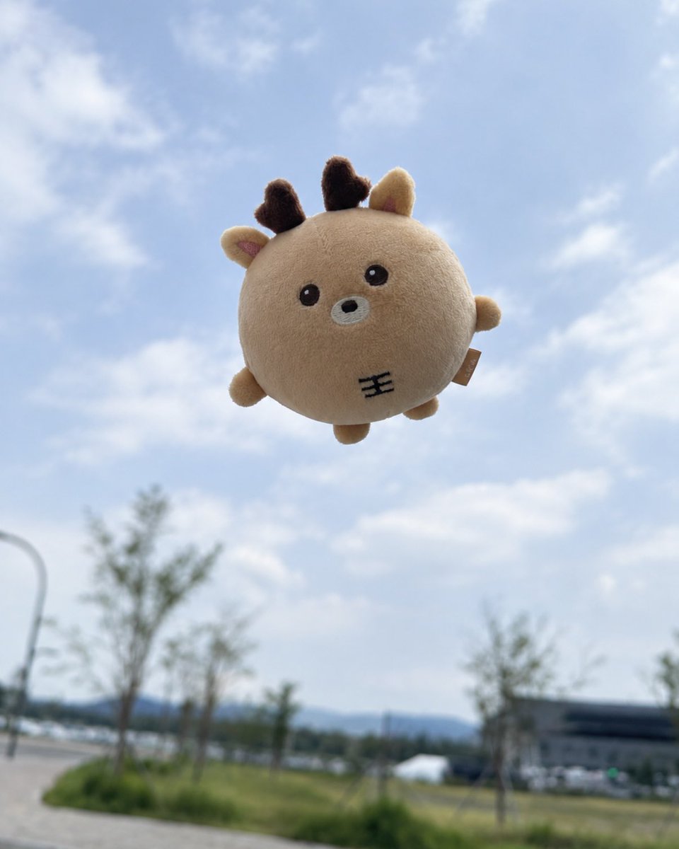 wjdtjdcks_gg's tweet photo. 뚱락밤 날다🪽 https://t.co/d3IJCYs13m