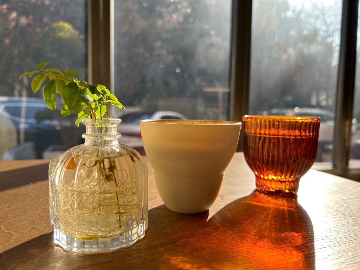 ladym280370's tweet photo. New to photography Start with natural light! Soft window light beats harsh flash for flattering shots of everyday things. Grab your phone, experiment for 10 mins a day — progress hits faster than you think. https://t.co/hFjD4dXoSF