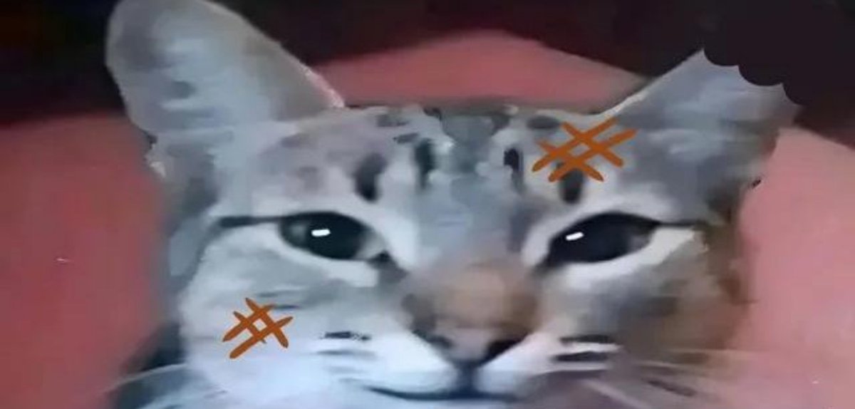 Malitx_'s tweet photo. cuando ire a ahogarme en un par de tetas? https://t.co/y1ph6EHGvw