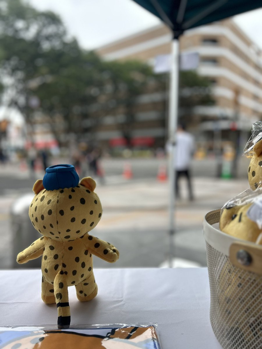 kohsoku_cheetah's tweet photo. 題名「あなたのお迎えを待つ私」😹😹😹 https://t.co/zELHpjA2F2