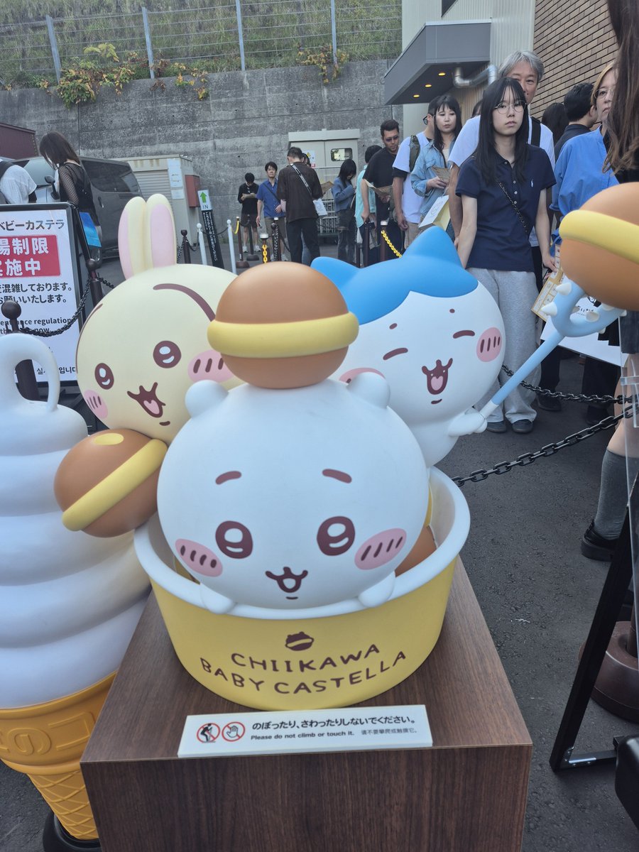 you0222you's tweet photo. カステラの方は、時間無くて写真だけ🥺 https://t.co/9omq4lqAu3