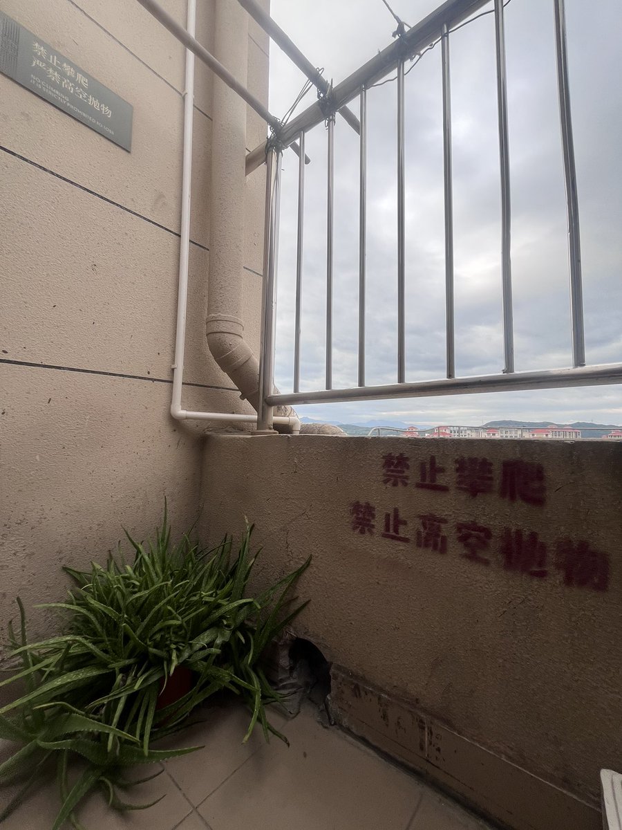 a7m7aewe's tweet photo. 喜欢在楼顶抽烟 https://t.co/kQp9VRm2mV