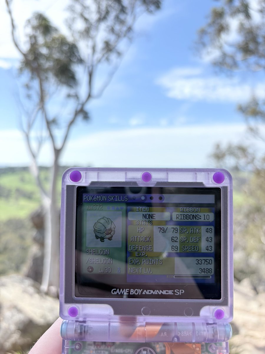 andybrphy's tweet photo. ribbon mastering my shiny shelgon…….. at hanging rock https://t.co/hvbFoia3rp