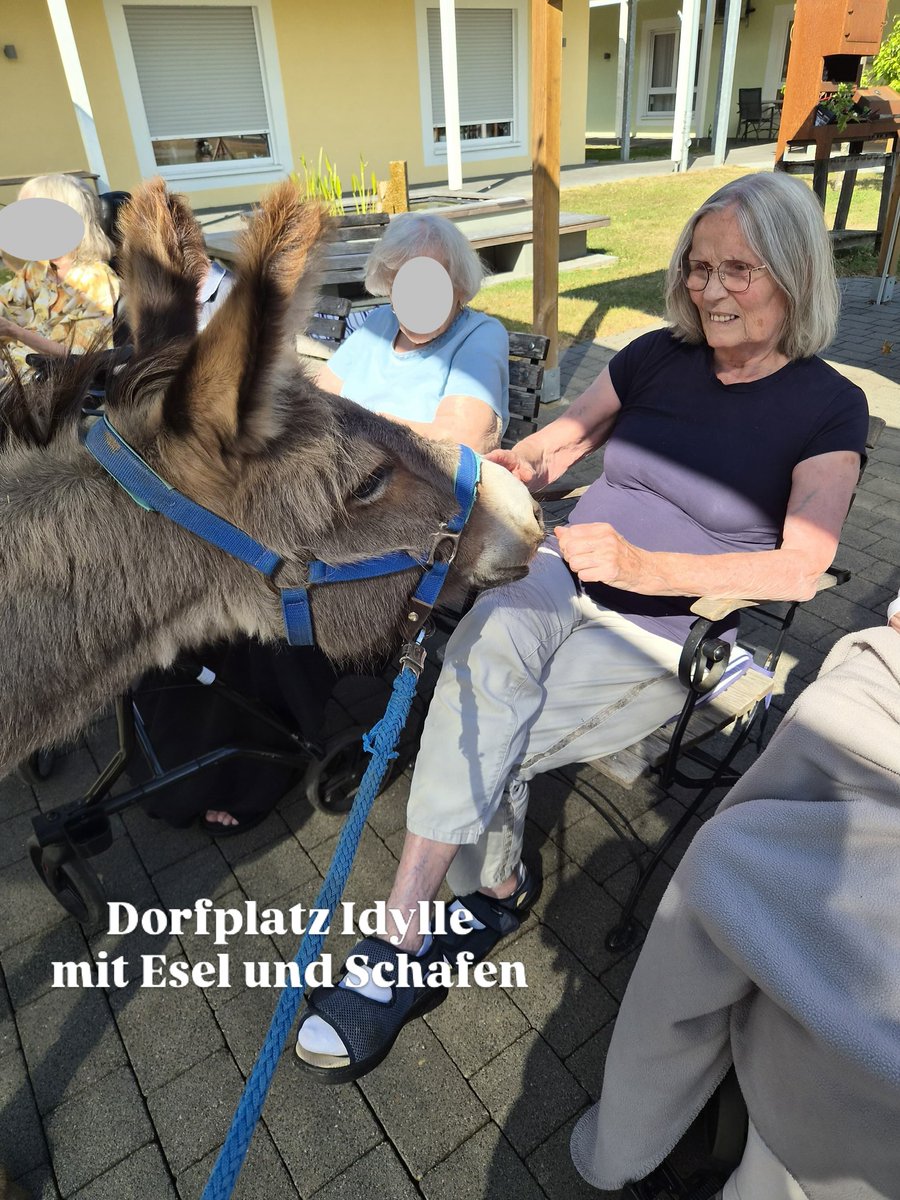 KeliBlacksrgme's tweet photo. Photo by Michaela on August 09, 2026. May be an image of donkey and text that says "Dorfplatz Idylle mit Esel und Schafen". https://t.co/UD0alVq4H6