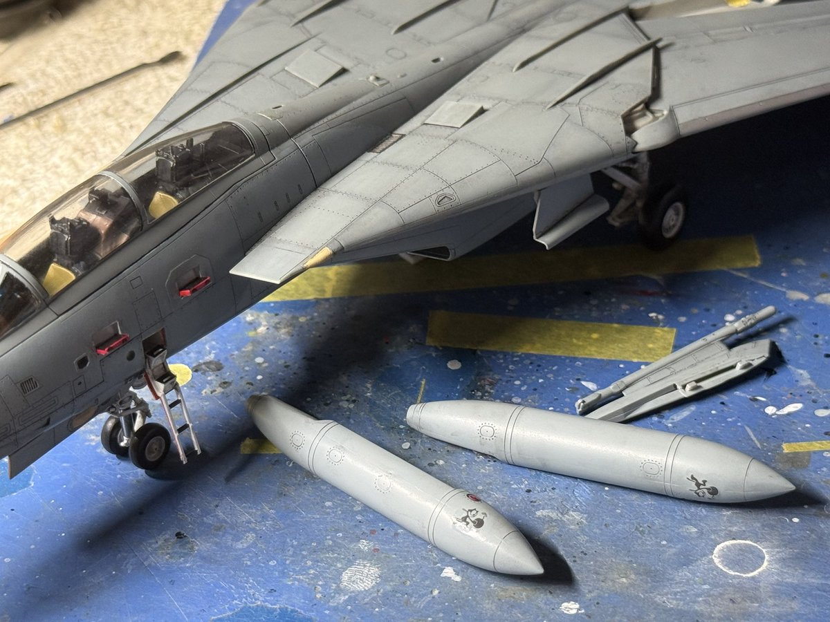 capybara_works's tweet photo. コレになる予定です(*´∇`*)
#タミヤ
#ウォーバードコレクション
#F14D
#トムキャット https://t.co/K7tXt6RV7t