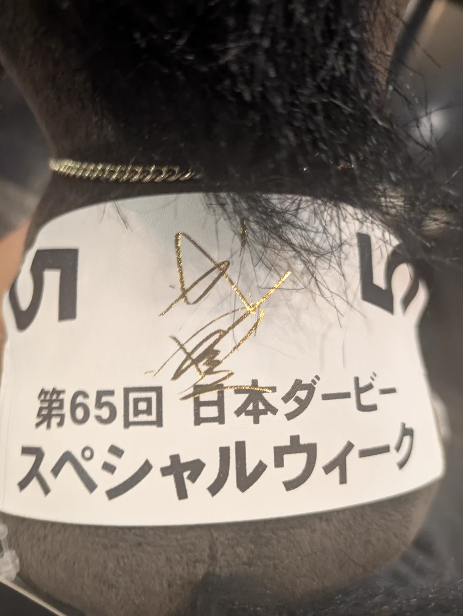 カメさん､7th完走！ on X: 