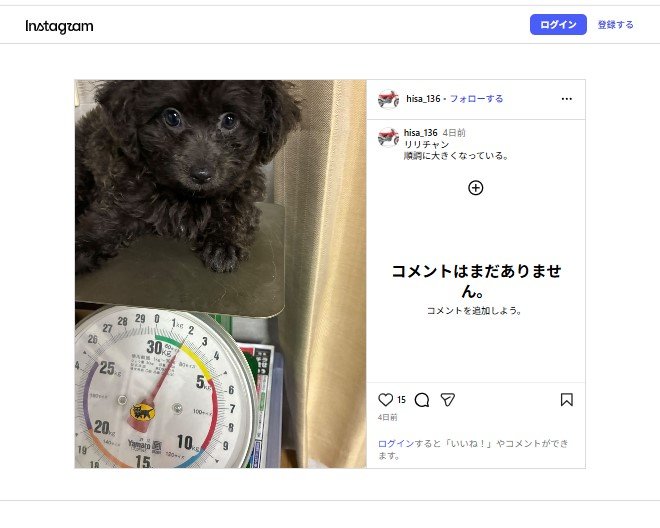 3eTYbCXqIjprjdq's tweet photo. お！
またペットの販売許可も得ずに
子犬売るつもりなん？
竹原のペットサロンも法的に大丈夫かよ（笑）
#うず潮レーシング福山
#ペットショップパラダイスうず潮
#バイク屋が違法ペット販売
#そもそもバイク屋自体も未認証で重整備 
#バイク
#スーパーモト https://t.co/RekYbaX8xq