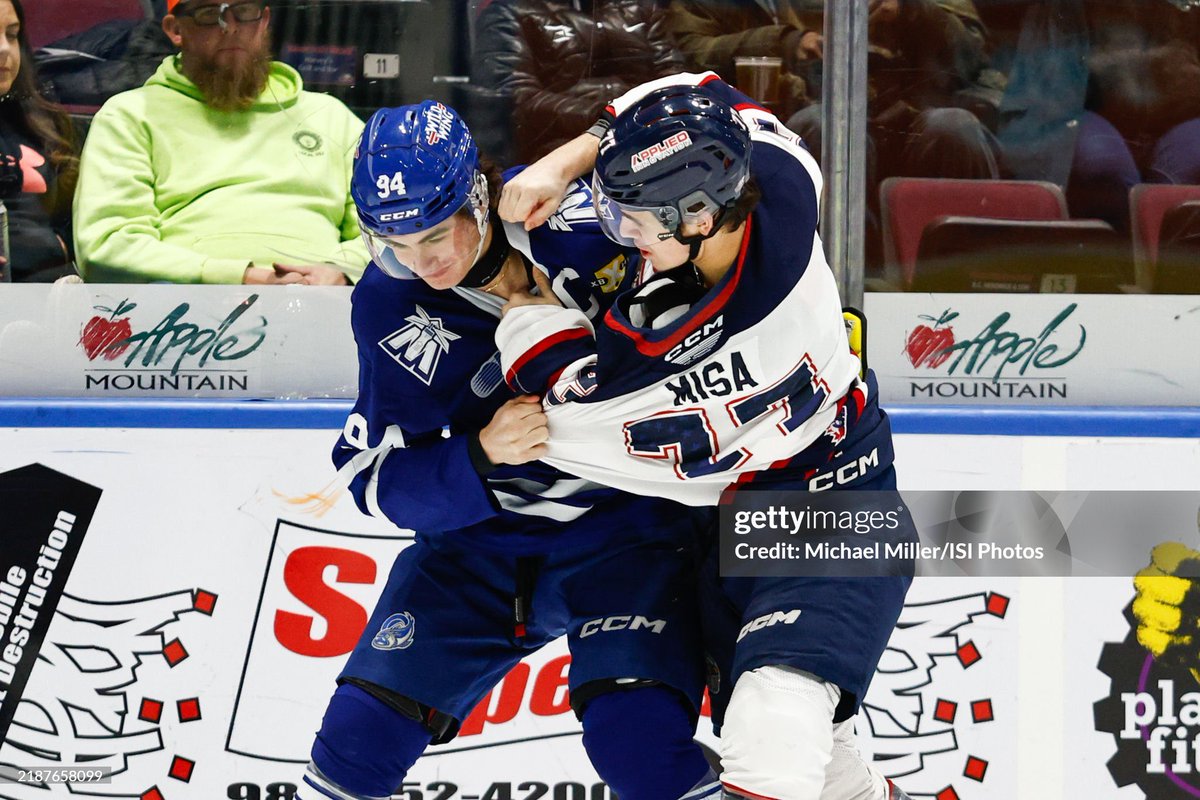 sharkscharmer's tweet photo. don’t be fooled he can fight and win https://t.co/g7DZhqRt1A
