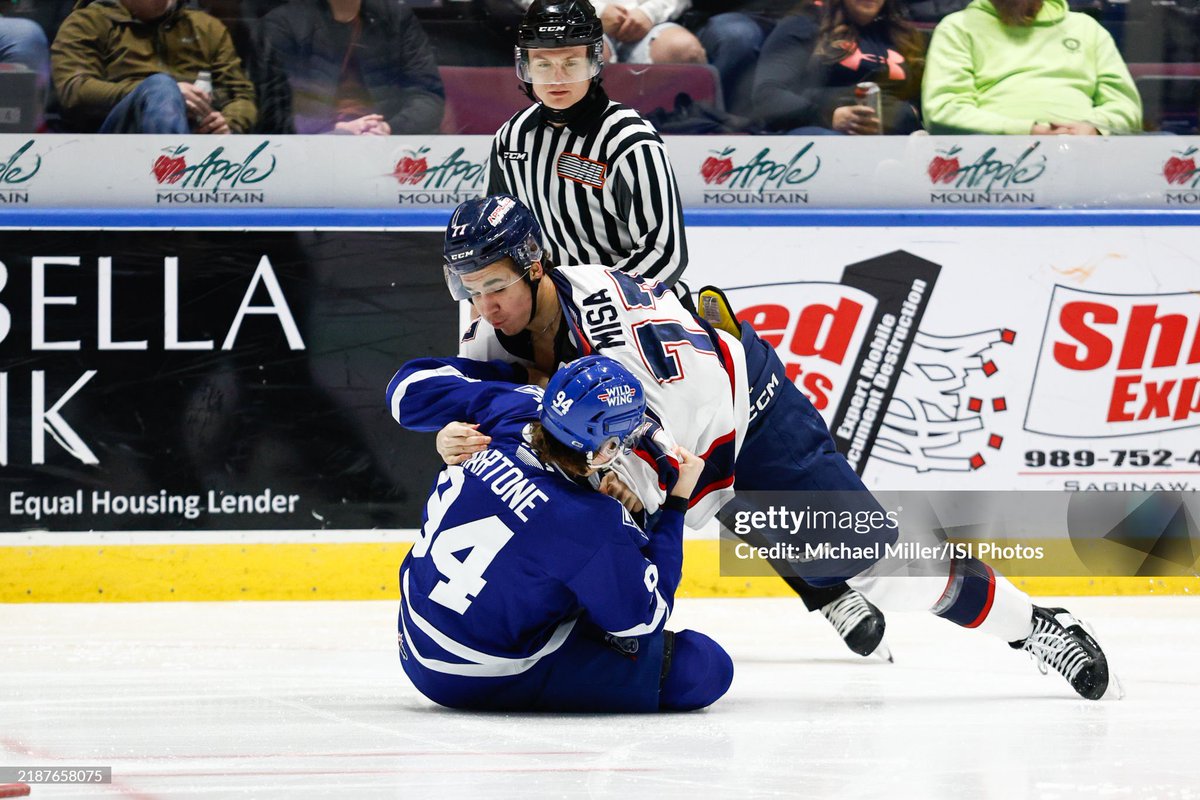 sharkscharmer's tweet photo. don’t be fooled he can fight and win https://t.co/g7DZhqRt1A