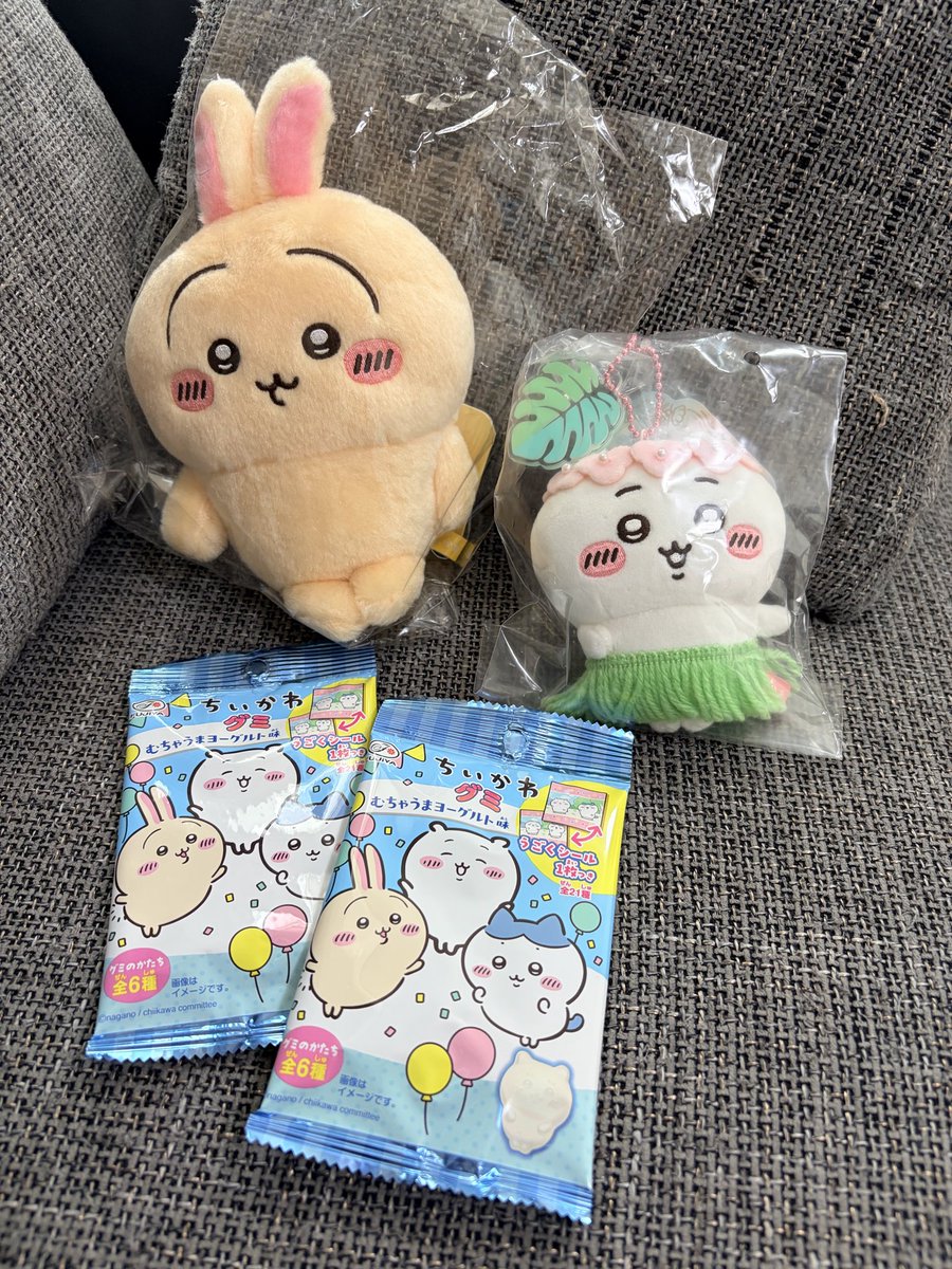 ringospidey's tweet photo. 今日は気になってる学校の文化祭にいってきた。
行ってみたら印象変わった…行くべきだね。

帰りにポップアップしてたから寄ったけど狩られた後で何もなかった。
でもお留守番の息子にお土産買った。プルャのぬいかわいい。 https://t.co/ihgAuCUSby