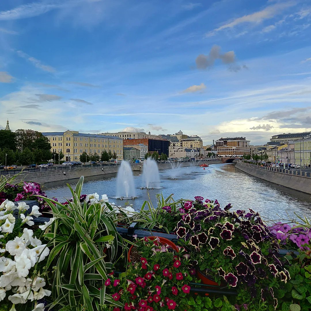 gui_carreteiro's tweet photo. Photo by Наталья Колеватова on September 02, 2025. https://t.co/Yb6cyneg7A