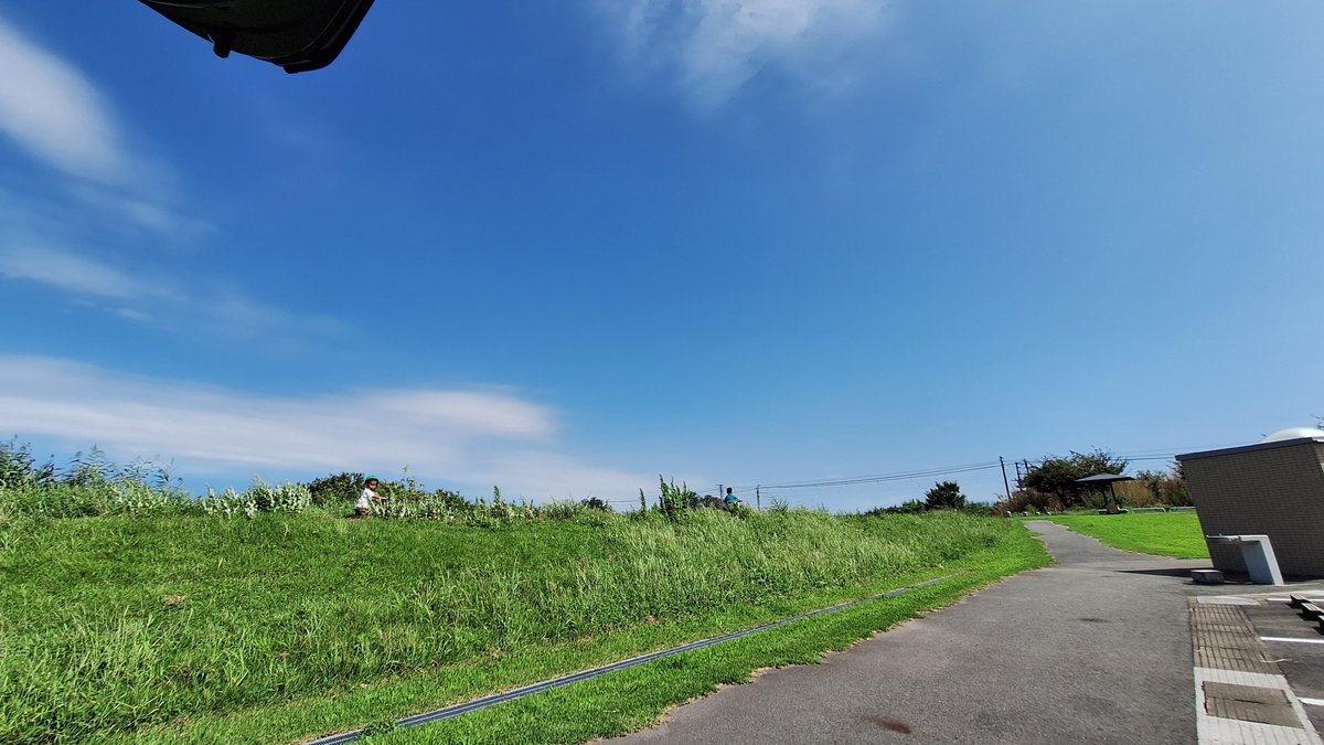 CT092040's tweet photo. 秋晴れの中サイクリング（に付き添って走る父）
趣味の昆虫採集で珍虫発見。AIで調べたらクビキリギスってやつらしい。写真だと伝わりにくいが結構デカイしガタイもいい。迸るエイリアン感… https://t.co/Gb8EuhnEeo