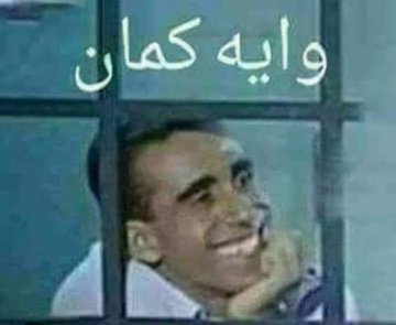 adelelhalaby tweet picture