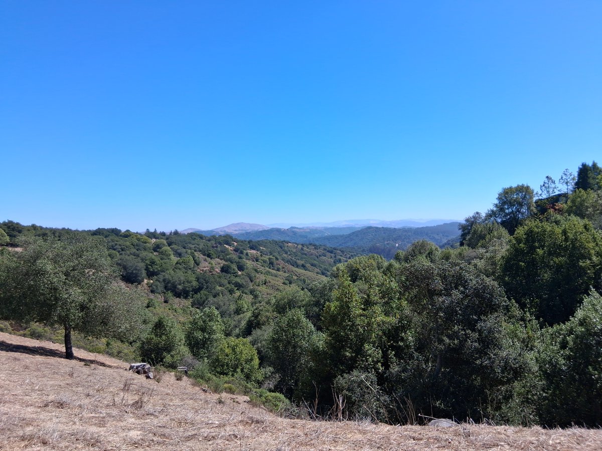 Max585449895175's tweet photo. Went Hiking https://t.co/GO4xiUpRw4