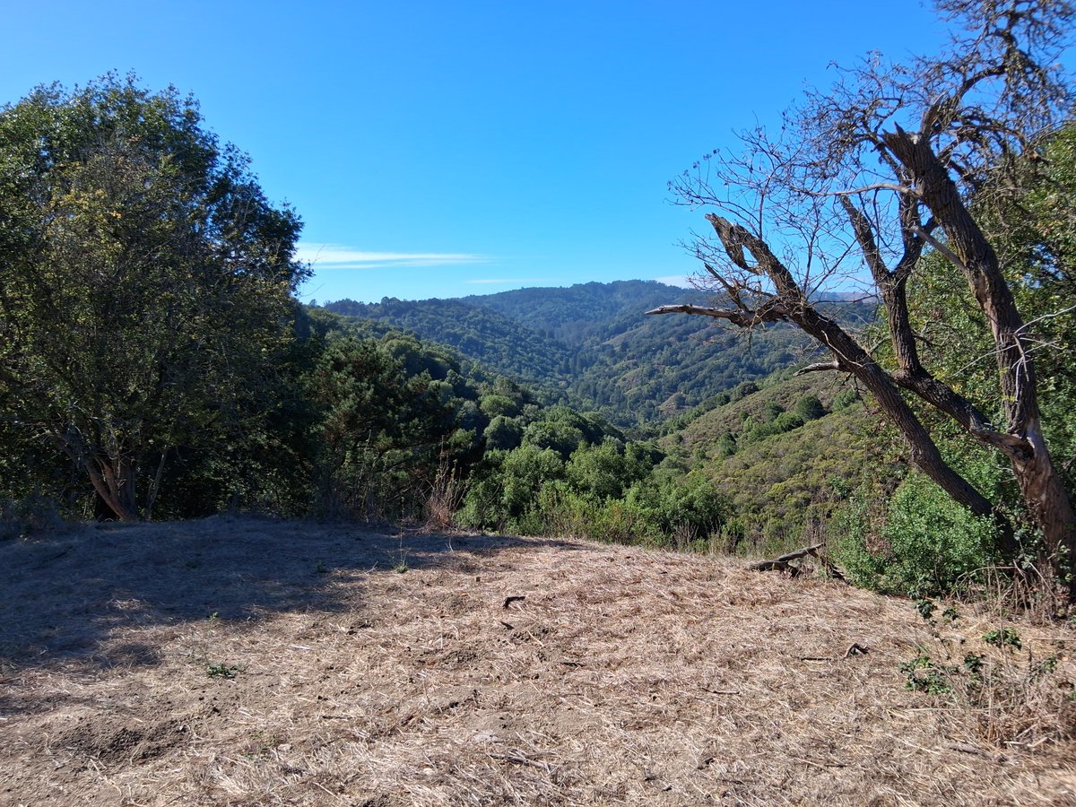 Max585449895175's tweet photo. Went Hiking https://t.co/GO4xiUpRw4
