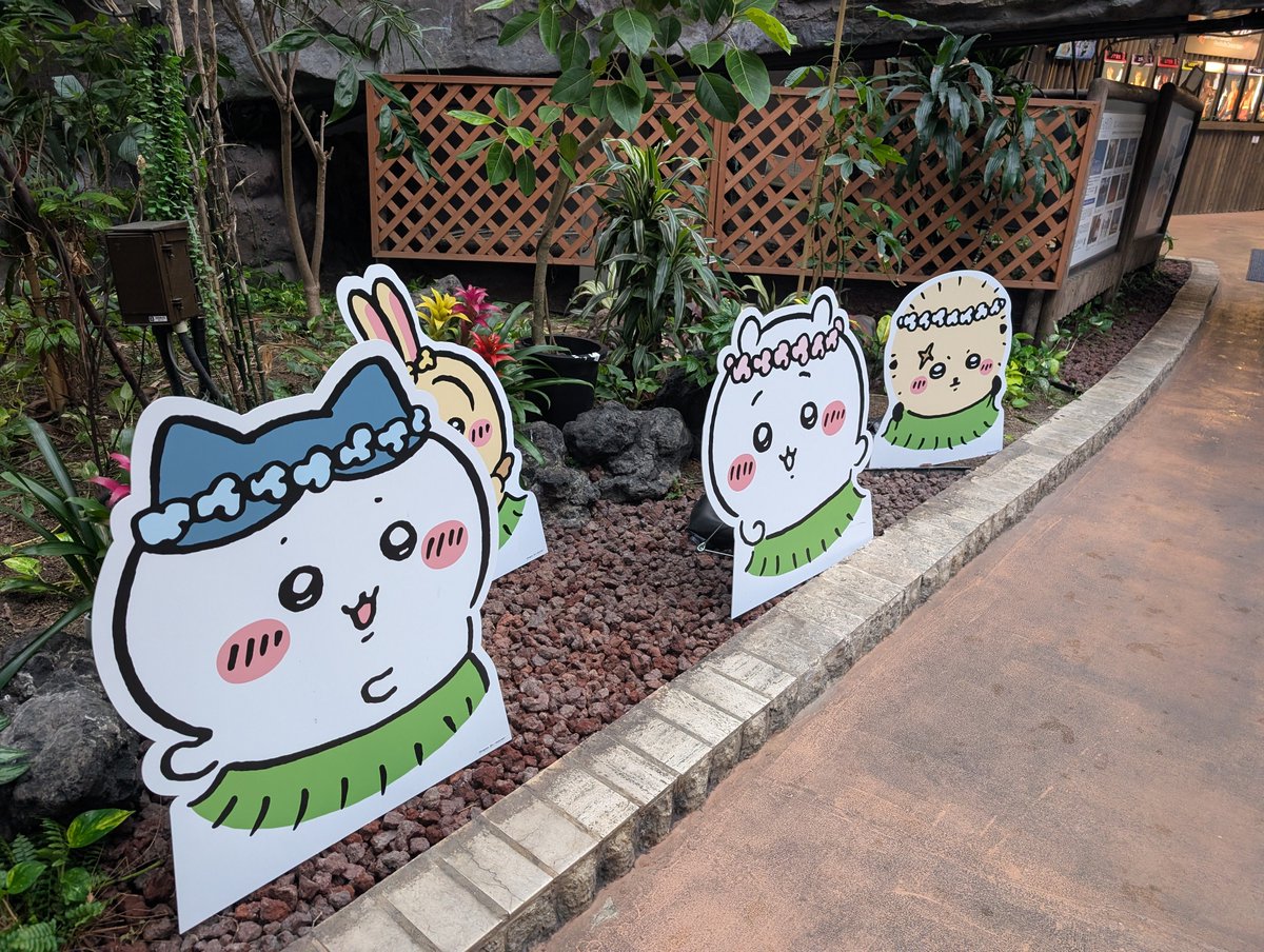 squaram's tweet photo. ハワイアンズ、まさかの同時コラボで笑う https://t.co/fgMJY9lTHE