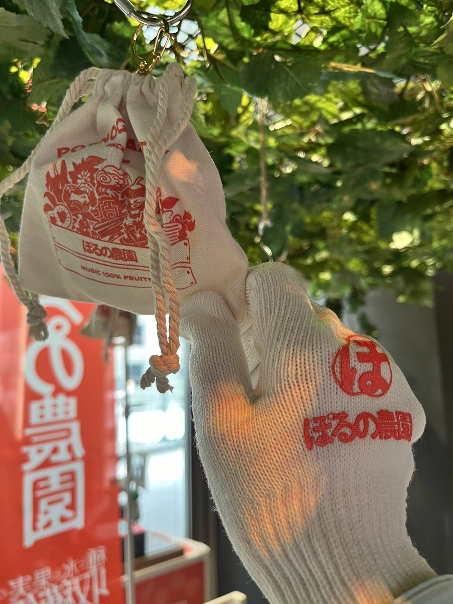 shin_d_o's tweet photo. 昨日収穫祭行った！楽しかった🍊
おかげさまで御麺も焼肉も食べれてよかった🍋🍋 https://t.co/ZA4GnuCboe