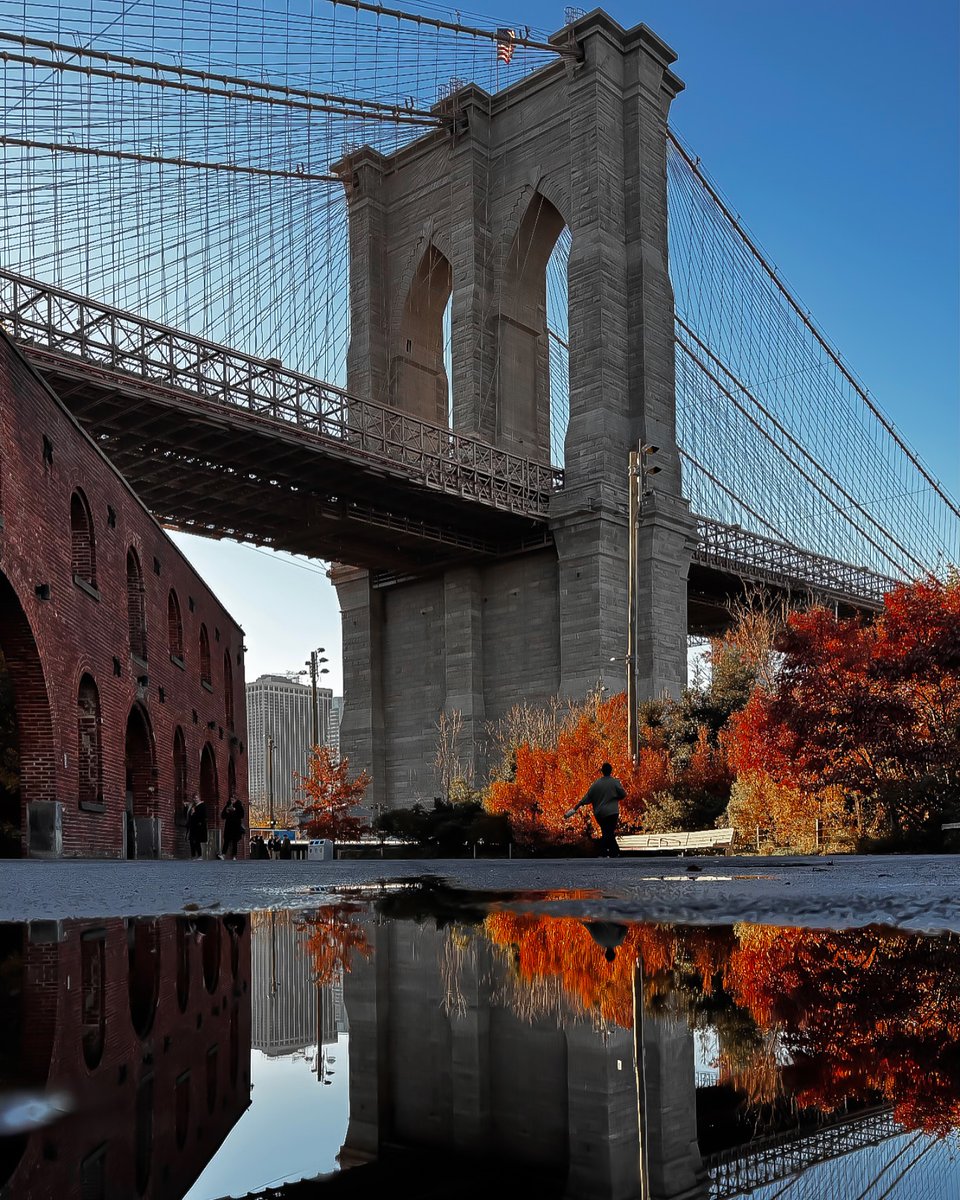 ElsieBelliveau's tweet photo. Photo by Nawal in New York, New York. https://t.co/DRI6yy9fmq