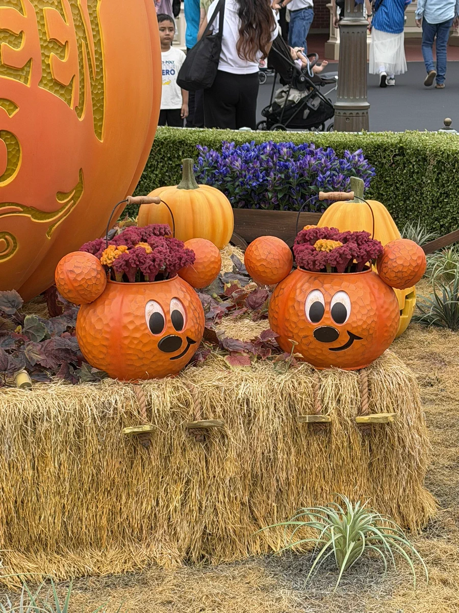 d？ディズニー？ チップ & デール ハロウィン 照明 チップ&デール