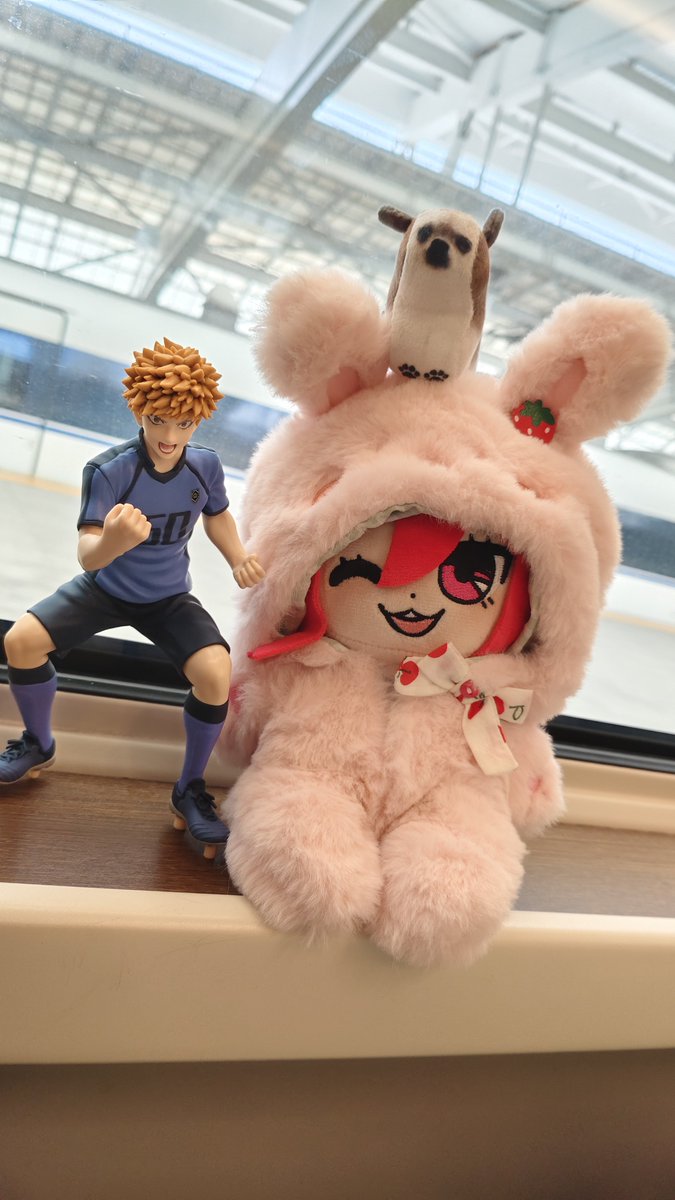 GaChou5044's tweet photo. kncg准备回广州，cgr头上的是我家狗狗🐶 https://t.co/5xoJtFKajr