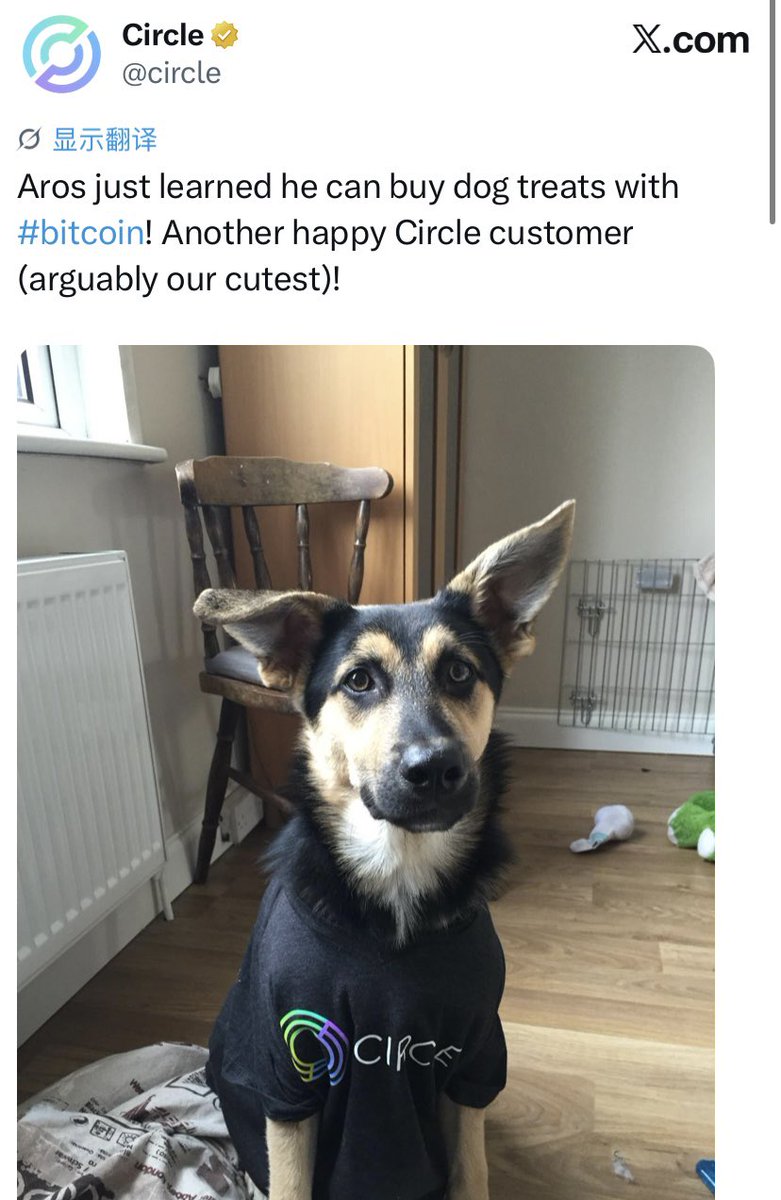 MangoAi88's tweet photo. Aros will lead the arc meme 

OG

0xb65295e3cee4619290b1722f625a73d523b84b16

#ARC#AROS https://t.co/x4tPpaPiMJ