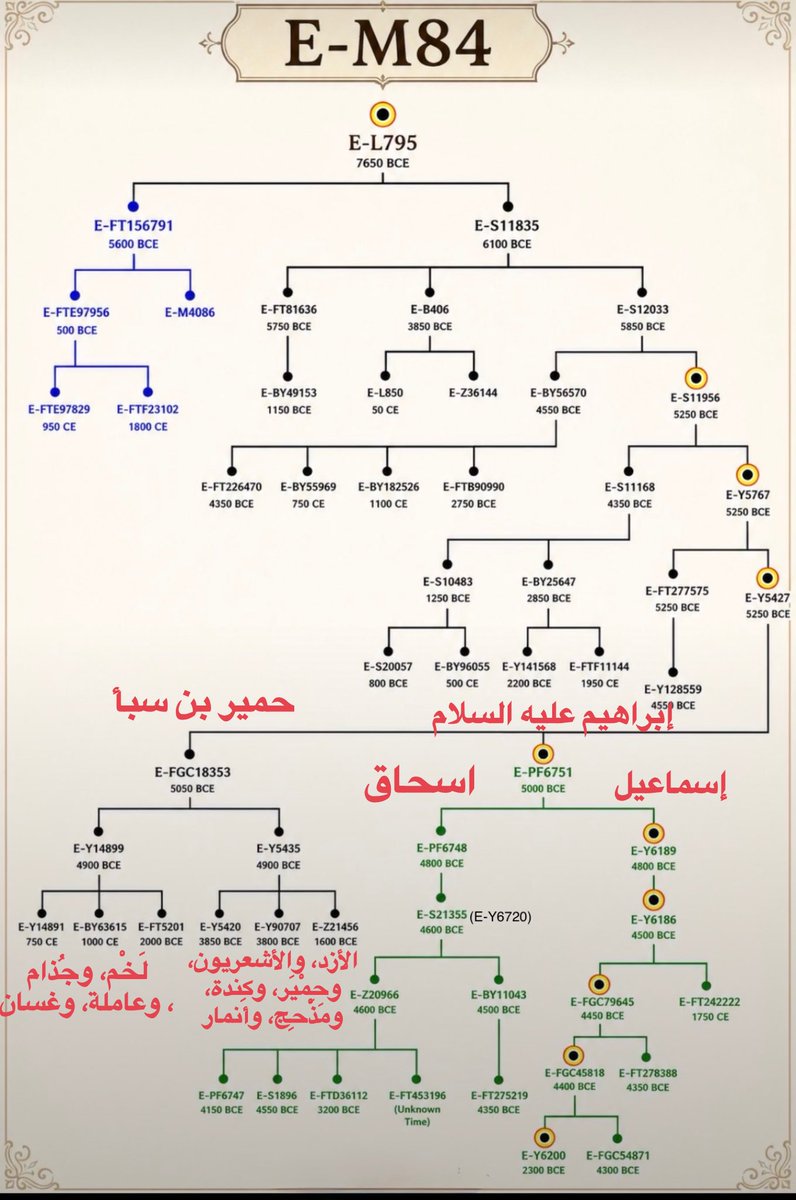 Abohazim0's tweet photo. قالوا ان حمير بن سبأ وإبراهيم عليه السلام ابناء عم يلتقيان عند الجد عابر.
ثم تأتي شجرة Y-DNA فتضع فرعين بتقديرات زمنية ومواريث إبراهيمية قحطانية متقاربة
اسفل شجرة E-M84 https://t.co/I1XBP32C86