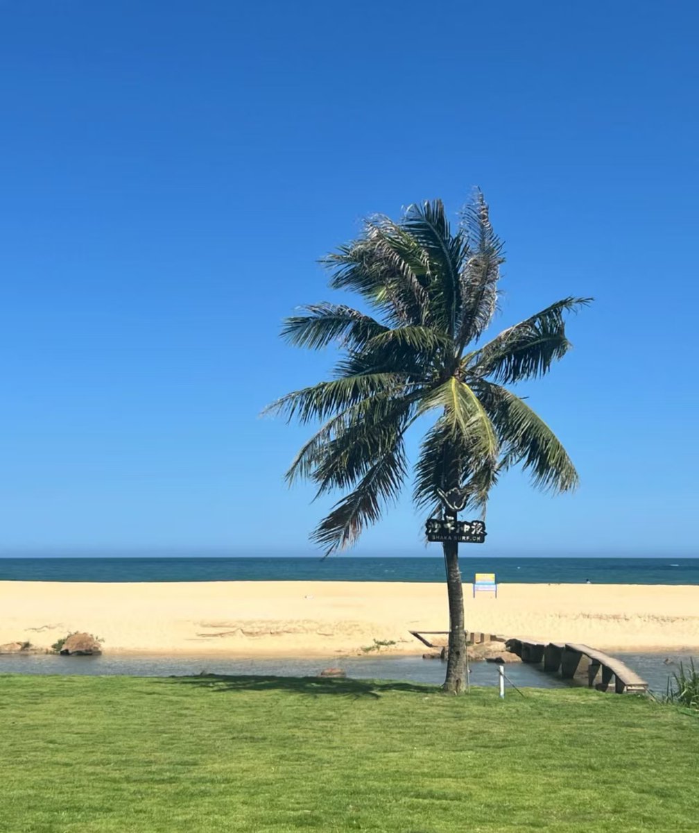 SLKMPQ's tweet photo. Woke up to the sound of waves u0026 sipped fresh coconut water at sunrise—this coastal village stay just stole my heart completely! https://t.co/KUJCSid7kL