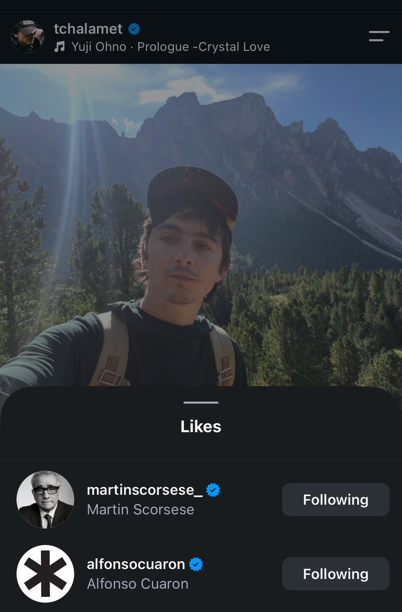 timotheeupdates's tweet photo. Martin Scorsese and Alfonso Cuarón have liked Timothée Chalamet’s latest IG post. 🎬🤍 https://t.co/OJyWTb2Cuy
