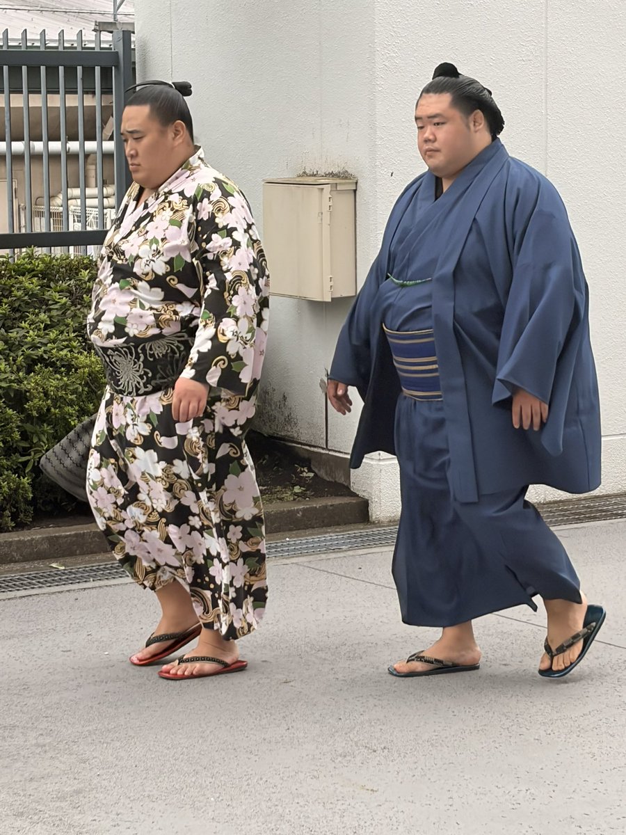kurome3_'s tweet photo. 夢道鵬の浴衣かっこいいよな〜
コシノヒロコさんデザインなのかな？

明生はいつも入りが早いし、炎鵬は人気が桁違い！

丹治は今日から関取 https://t.co/4iOA66yqji