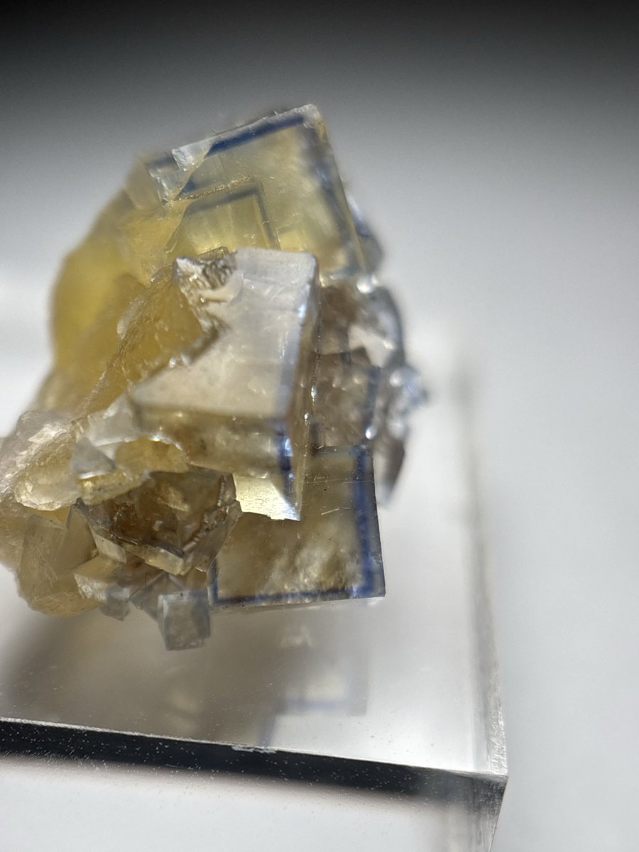 Shtone14's tweet photo. @LiberMinerals リバーさんで去年の静岡ミネラルザワールドでお迎えしたラバール1/2
右上にダメージはあるものの全体的にダメージが少なく、サムネイルサイズのクラスターを求めていたので好みど真ん中。
初めてやや高価格帯(自分比)に手を出した思い出深い個体
ここから石沼が加速した自覚がある🤤 https://t.co/B6coiOn5UW