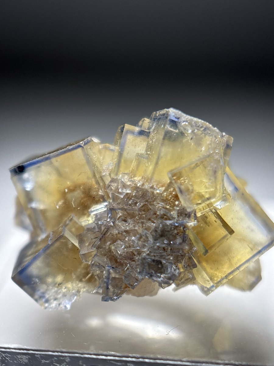 Shtone14's tweet photo. @LiberMinerals リバーさんで去年の静岡ミネラルザワールドでお迎えしたラバール1/2
右上にダメージはあるものの全体的にダメージが少なく、サムネイルサイズのクラスターを求めていたので好みど真ん中。
初めてやや高価格帯(自分比)に手を出した思い出深い個体
ここから石沼が加速した自覚がある🤤 https://t.co/B6coiOn5UW