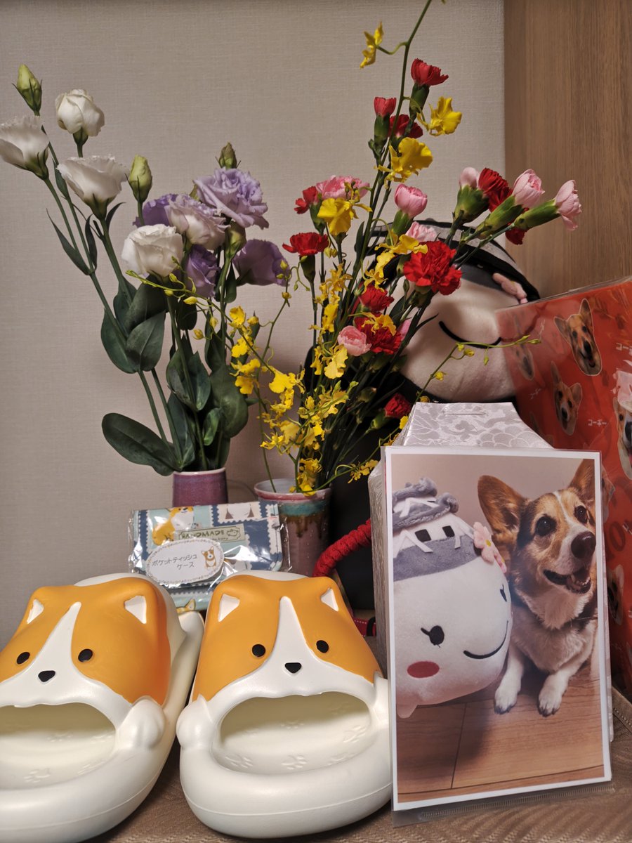 GM__network's tweet photo. 今日はぱんにゃの月命日なのでコーギーカフェりんりんで買ってきたコギスリッパを飾ってみました🐾🐕😊
ちなみに奥のポケットティッシュケースはドッグヒル、右のクリアファイルはコーギーワールドのもの🐶
今年は色々行きました✨ https://t.co/aOjmw5FNC7