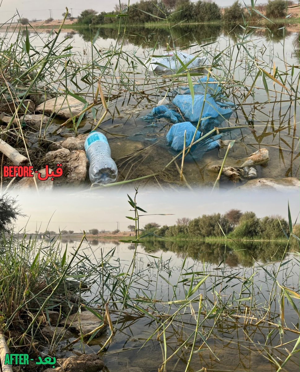jimreydaps's tweet photo. ألقوا نظرة على صور "قبل وبعد" لفعاليتنا الثامنة والثمانين لتنظيف المنتزهات الصحراوية في وادي السلي.

شكراً لكم أيها المتطوعون على جهودكم وتفانيكم. https://t.co/030Jeqo2E6